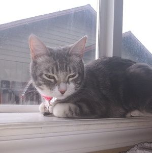 Meet your Posher, Emily